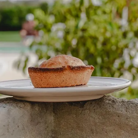 Bed and Breakfast Il Noce Salento Tourism Services Nardò